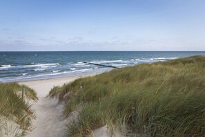 Nær stranden