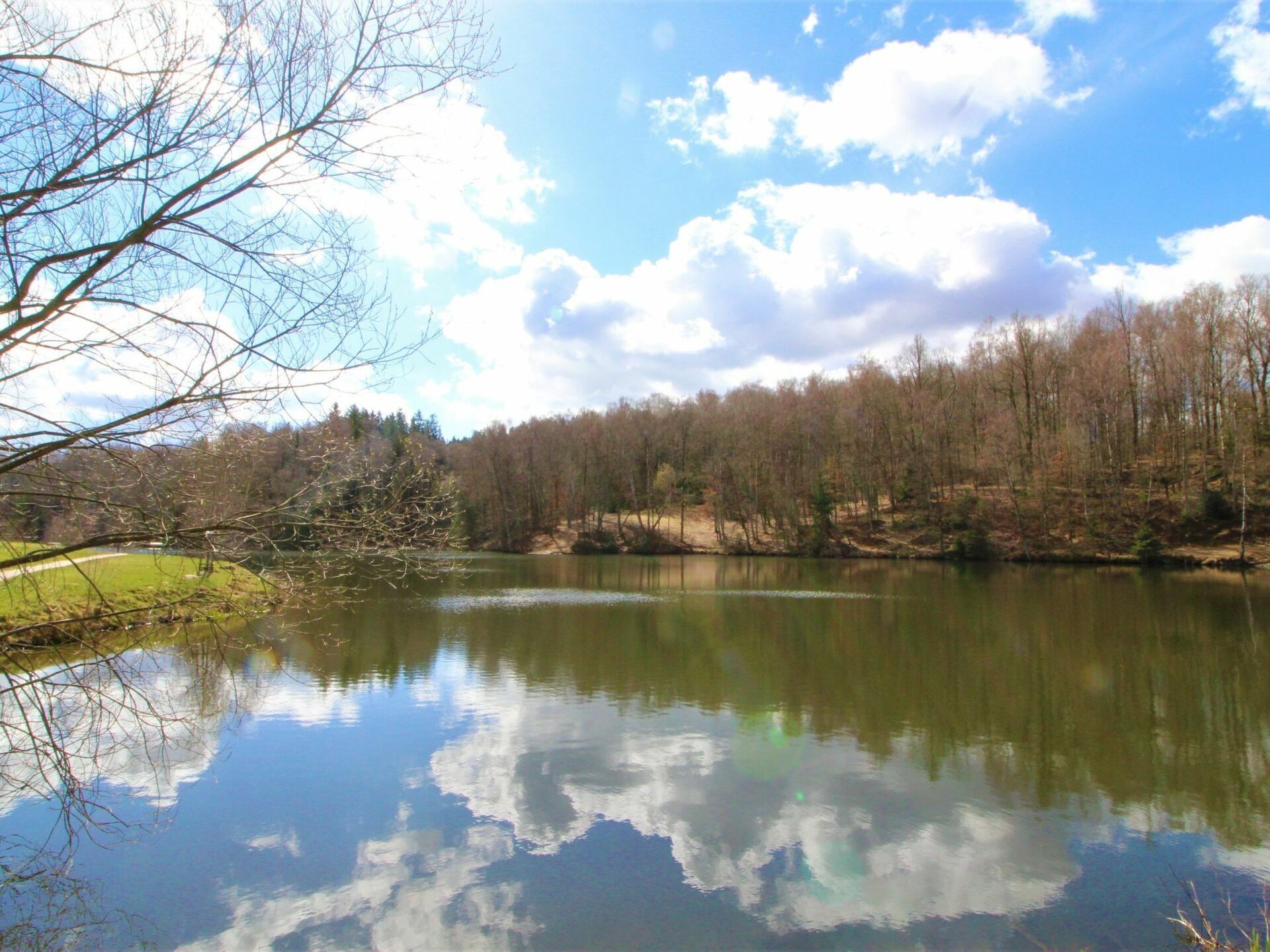 A calm lake surrounded by trees and a clear sky.