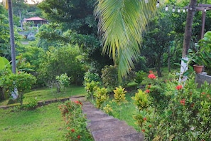 Área da propriedade