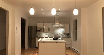 Spacious 2 br apartment in the heart of Montreal