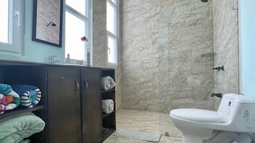 Shower, towels, toilet paper