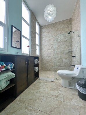 Regadera, toallas, papel de baño 