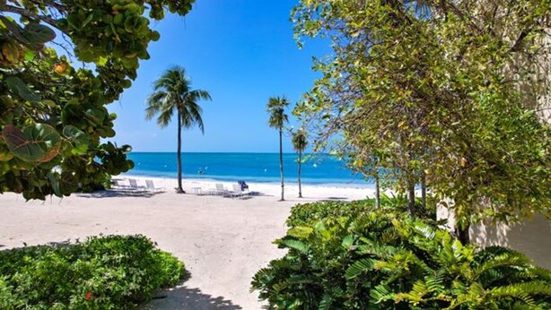 A beach with palm trees, a clear blue sky, and a sandy shore.