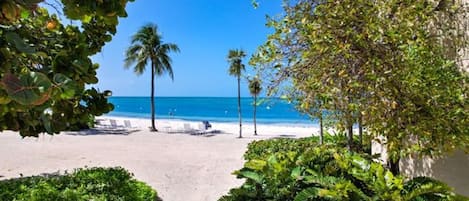 Plage, chaises longues, serviettes de plage