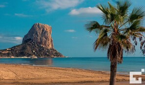 Ein Strand mit einer markanten Felsformation und einer Palme.