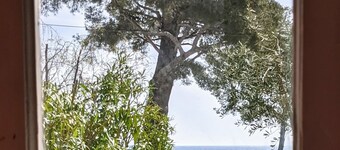 Provencal villa with courtyard, garden and sea view