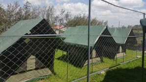 Uma área cercada com várias estruturas de telhado verde, possivelmente abrigos ou cabanas, situada em um campo gramado com árvores ao fundo.