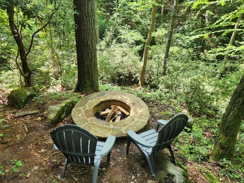 Al's Nest: Secluded Treehouse Overlooking Creek