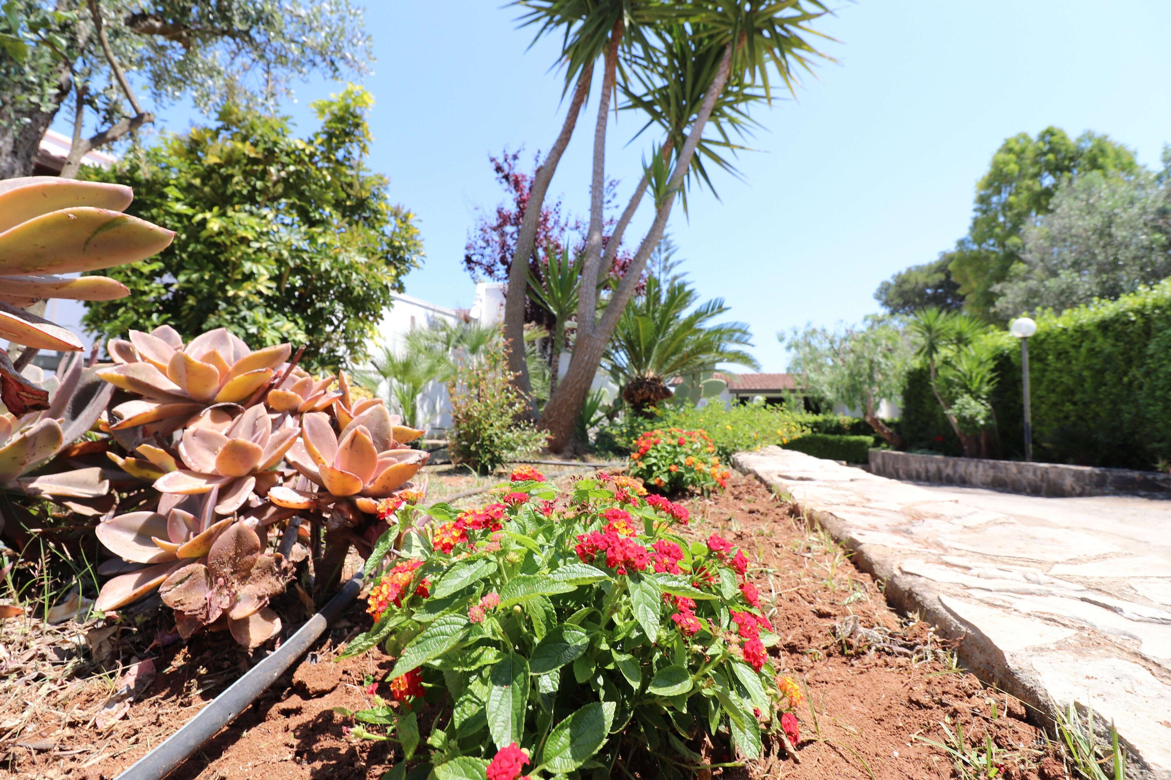 Parco della struttura