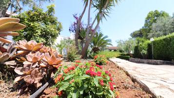 Parco della struttura