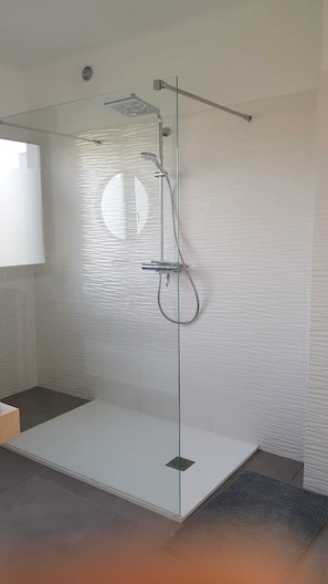 Shower, hair dryer