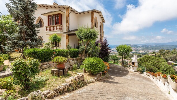 A house with a stone pathway leading to the entrance, surrounded by various plants and trees.