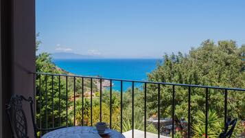 Deluxe Villa | Balcony view