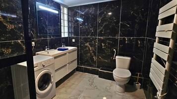 Shower, hair dryer, towels, toilet paper