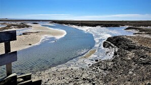 A river flowing through a rocky landscape with a wooden viewing platform. - 🐚Shell City on Lt Island (Wellfleet)
