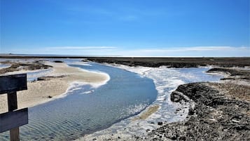 Una spiaggia nelle vicinanze