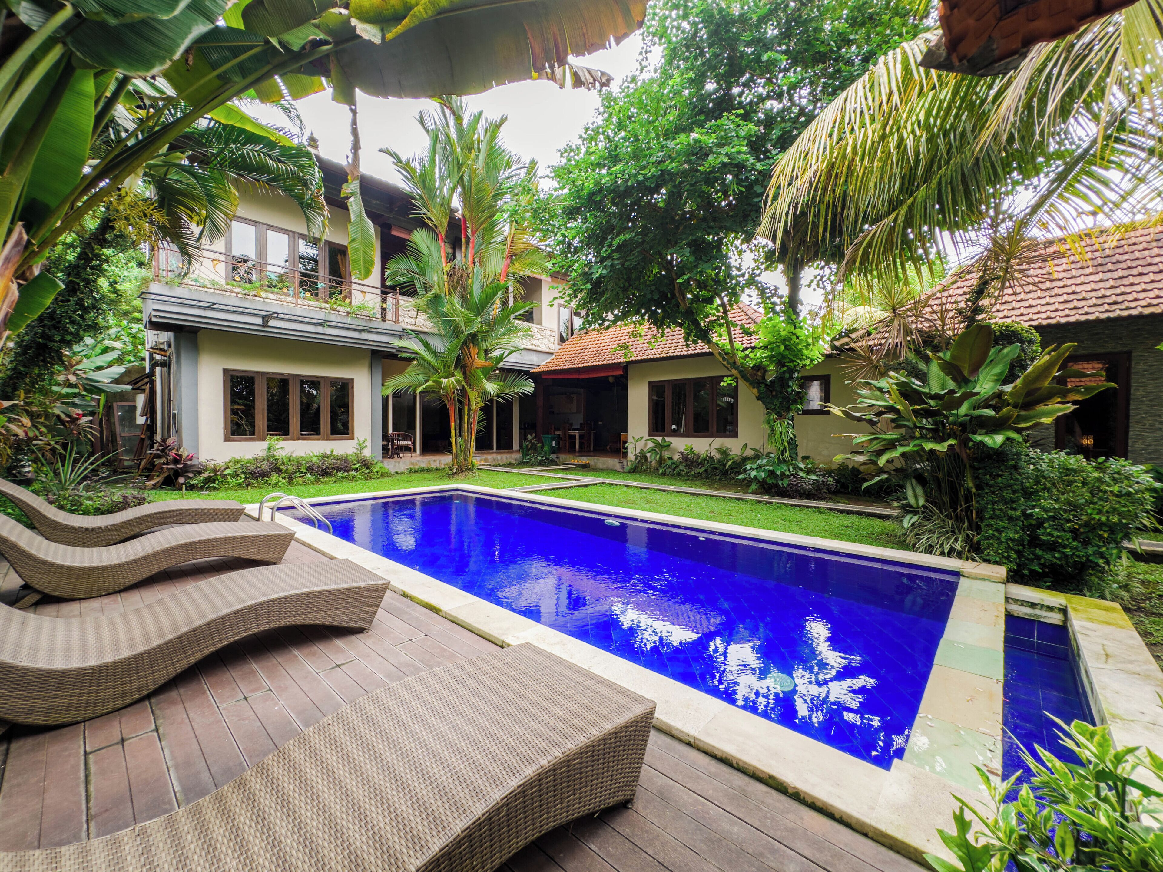 A swimming pool with lounge chairs, surrounded by tropical plants and a house with a tiled roof.