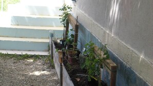 A wooden planter box with various plants against a building wall. - Gite Rural, restaurant without alcohol/pork (Beurnevésin)