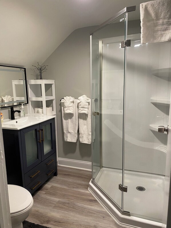 Shower, hair dryer, towels
