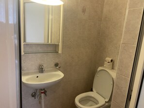 Shower, bidet - 5 min from the castles of Bellinzona (Bellinzona)