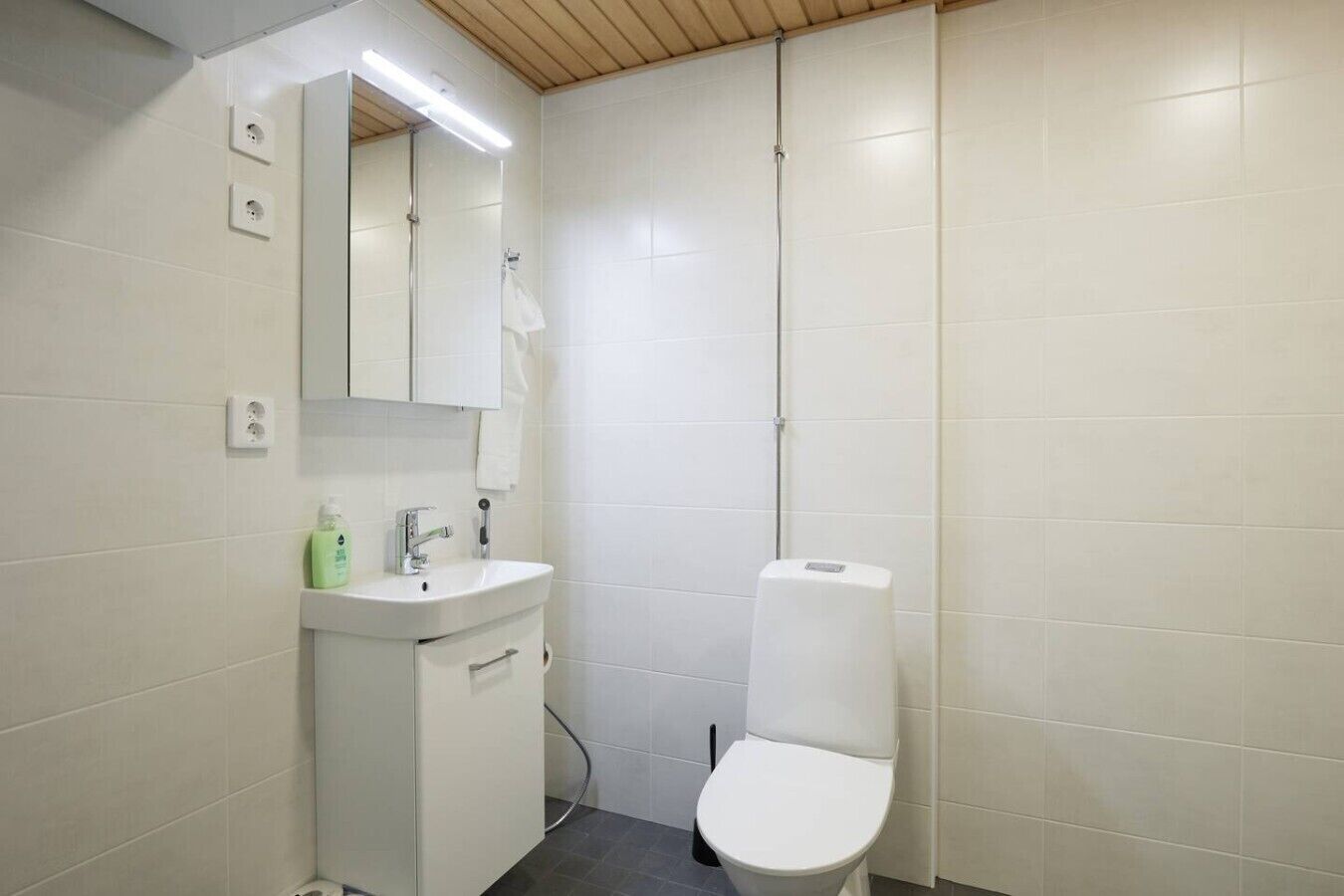 Een douche, een haardroger, een bidet