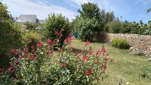 Een tuin met verschillende planten en bloemen, een stenen muur en een gazon.