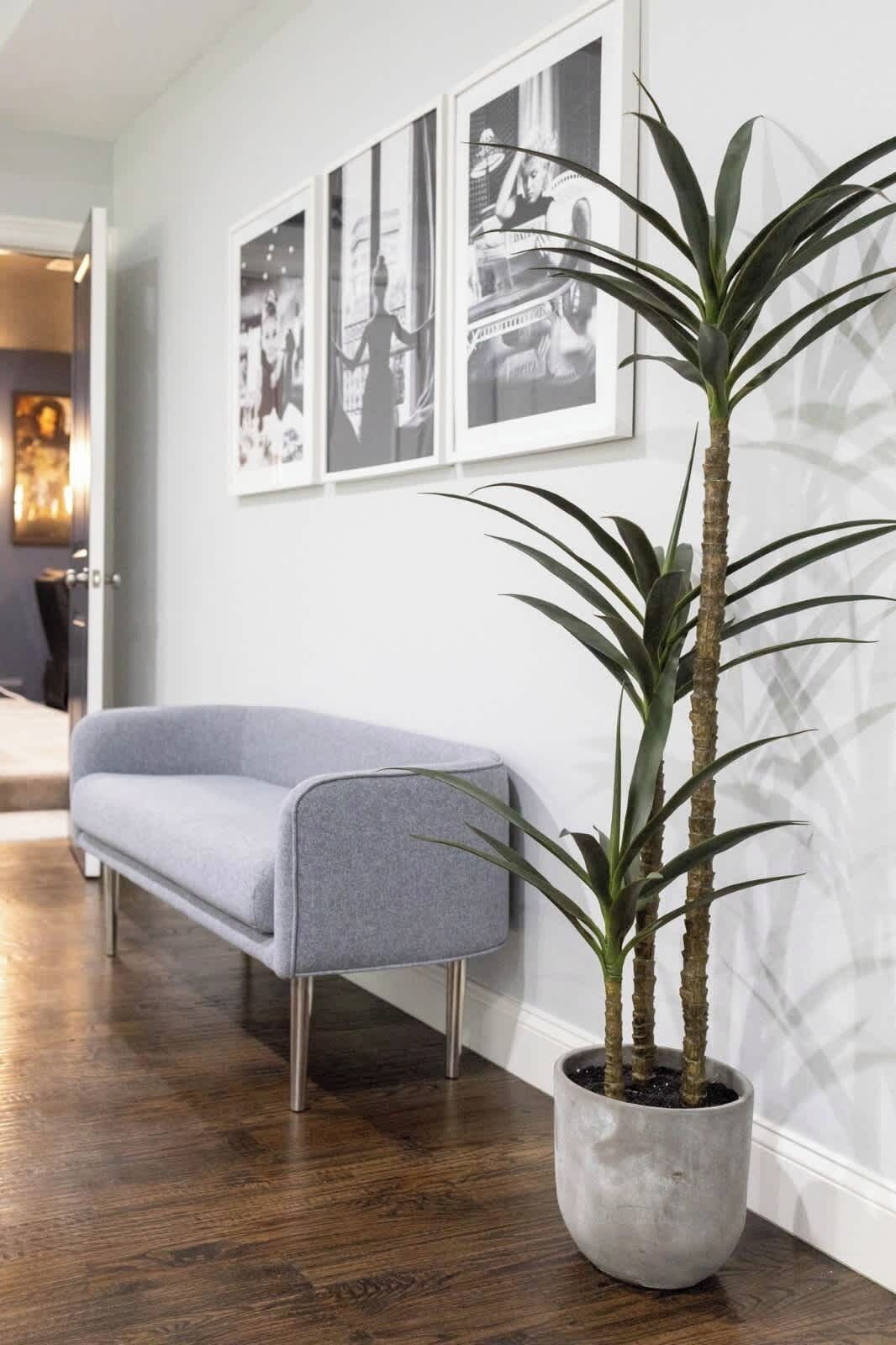 Interior moderno com sofá cinza, planta em vaso e fotografias a preto e branco emolduradas na parede.
