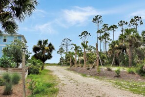 Un sentiero sterrato che conduce a una casa con un numero, circondata da palme e vegetazione.