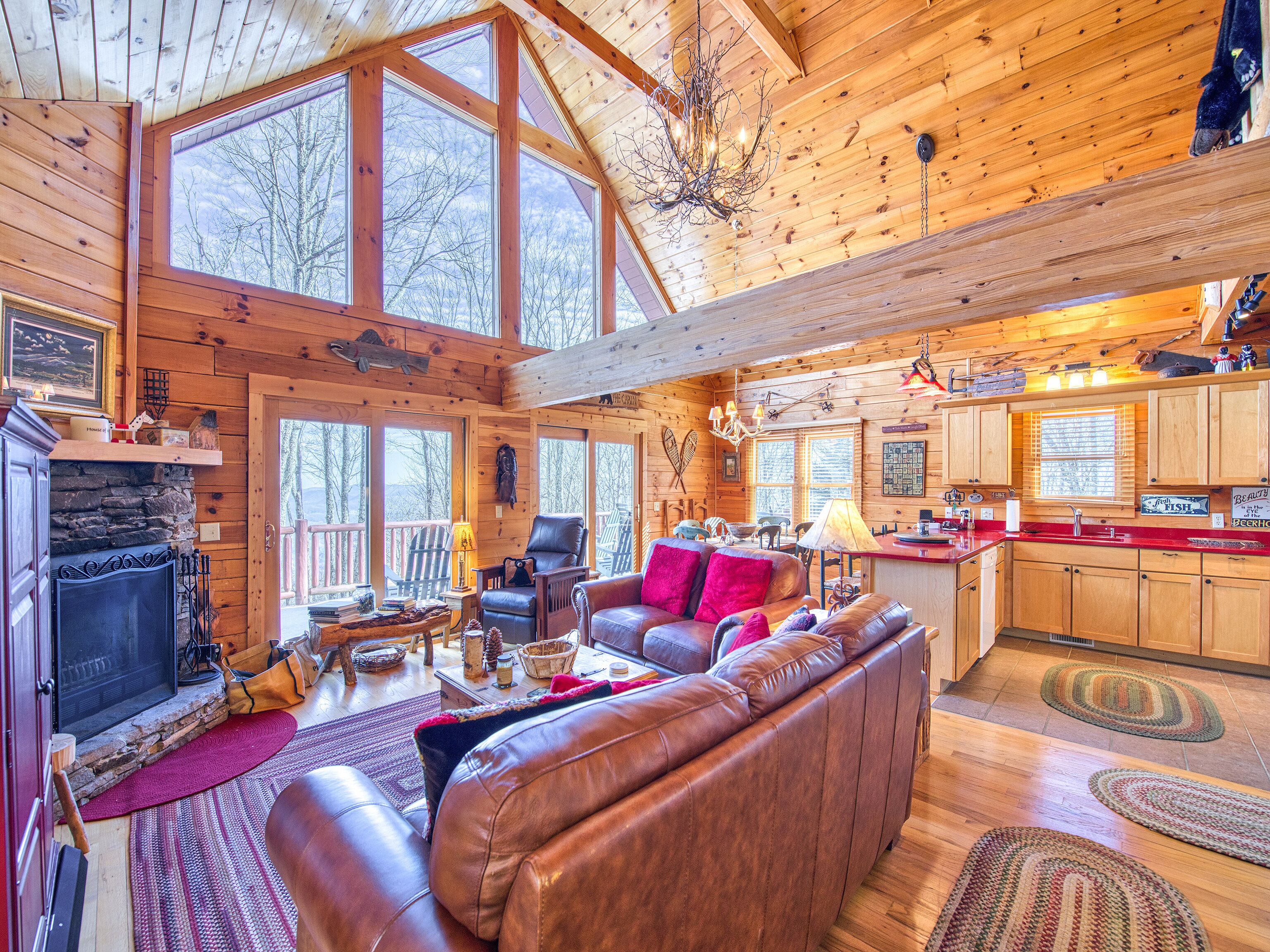 TV, fireplace, DVD player, books