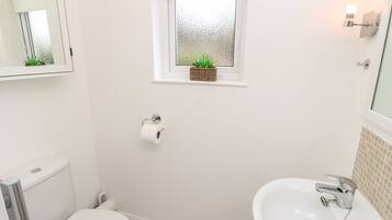 Cottage | Kamar mandi | Shower