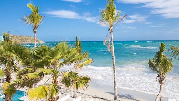 A beach with palm trees and a clear blue sky. - ☀️👙Sea Fan by IRE Vacations - Exquisite Villa With Views from Each Bedroom (Oyster Pond)