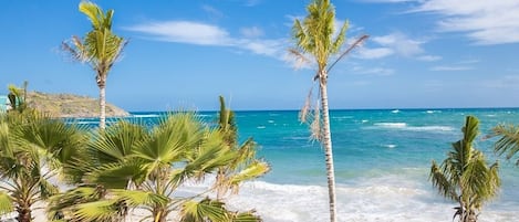 Una spiaggia nelle vicinanze