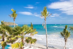 Une plage bordée de palmiers, sous un ciel bleu et dégagé.