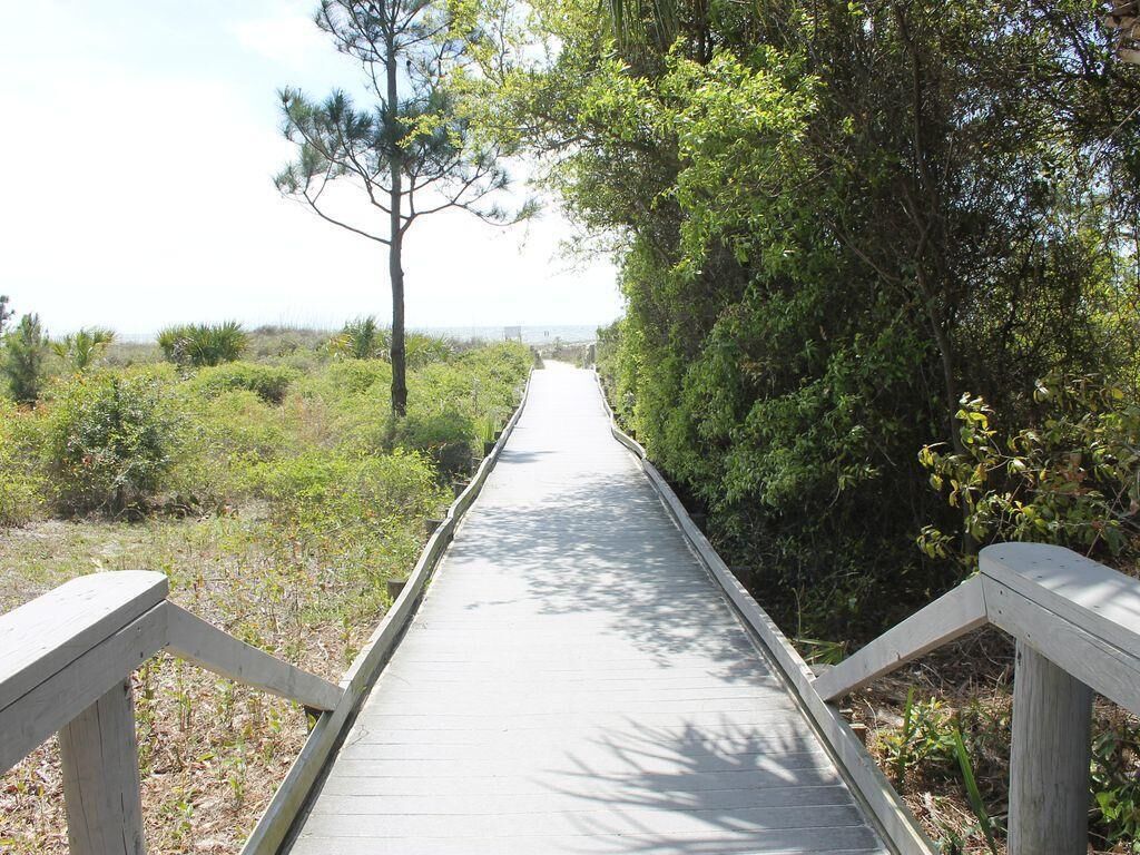 Una passerella in legno che attraversa una zona naturale, fiancheggiata da una fitta vegetazione.