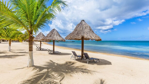 A beach with thatched umbrellas, lounge chairs, and palm trees. - Pristine Bay Villa 1304 with large pool - 3 bedroom 3 Condo by RedAwning (Roatan)