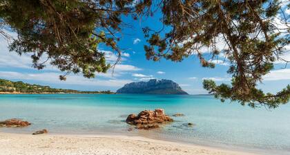 Villa Majra - fantastischer Pool mit Blick auf Tavolara