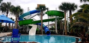 Pool - Last Minute Disney! Private Pool, Hot Tub, Game Room & Themed Bedrooms. Book Now! #56535 (Orlando)