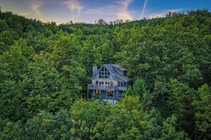 A two-story wooden cabin surrounded by dense forest.