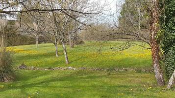 Terrein van de accommodatie