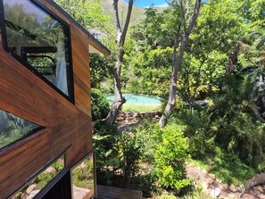Property grounds - Cabin in the woods (Cape Town)