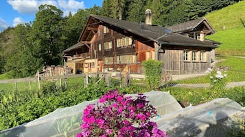 Extérieur