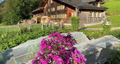 Holiday house Zweisimmen for 1 - 6 persons with 3 bedrooms - Farmhouse