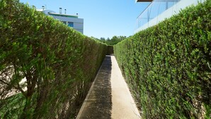 A narrow pathway flanked by neatly trimmed hedges leading to a modern building with a glass facade. - La Scala Sea Views - by Portugal Portfolio (Cascais)