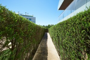 Een smal pad, afgegrensd door strakke hagen, dat leidt naar een modern gebouw met een glazen gevel.