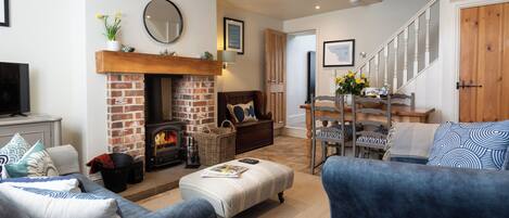 Smart TV, fireplace, books