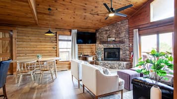 Fernseher, Kamin, DVD-Player