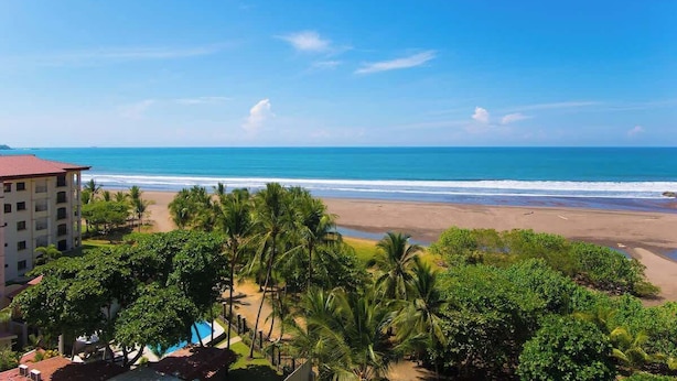A beach view with a hotel, palm trees, and clear skies. - 7th Floor Ocean View. Sleeps 8. 3 Beds 3 Bath (Jacó)