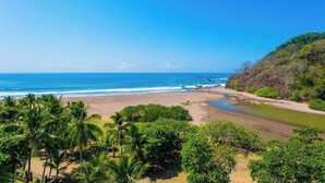 A beach with palm trees, a sandy shore, and a clear blue sky. - 7th Floor Direct Ocean View Penthouse -Parties OK. (Jacó)