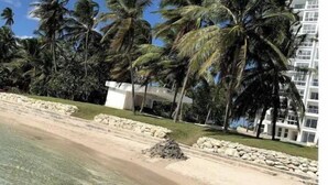 On the beach, sun loungers, beach towels