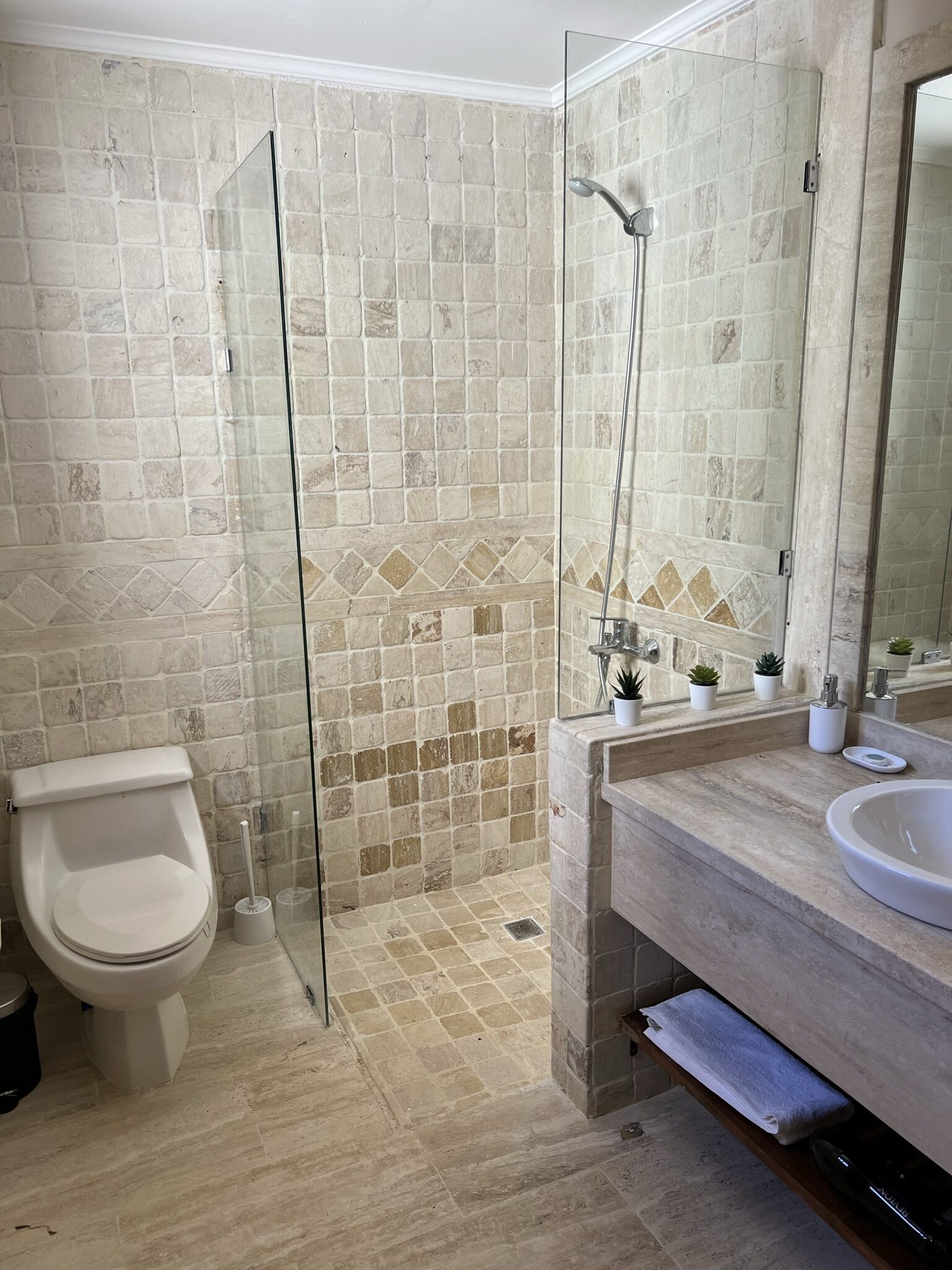 Un baño con inodoro, ducha envuelta en vidrio y lavabo con espejo.